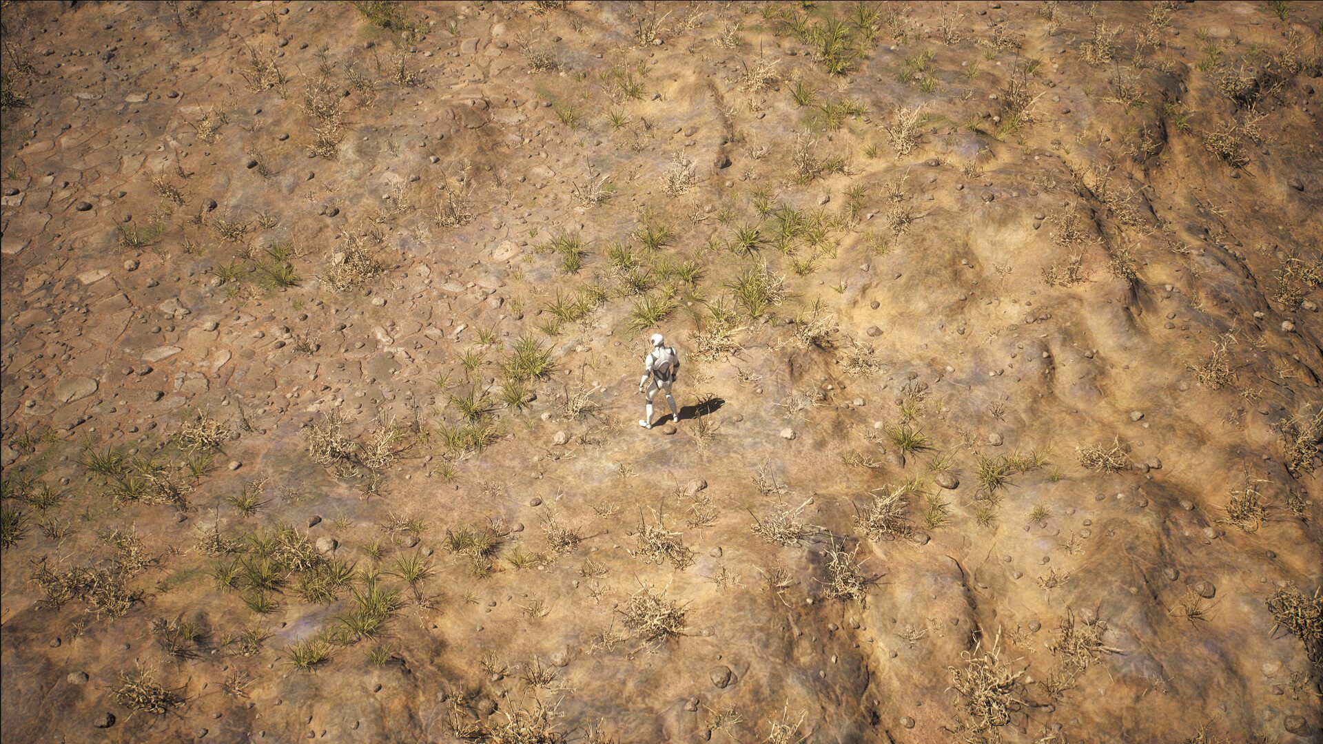 Procedural ARPG Style Environment, image 2
