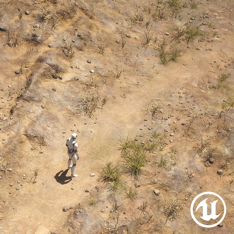 Procedural ARPG Style Environment